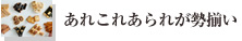 ꂱꂠꂪ
